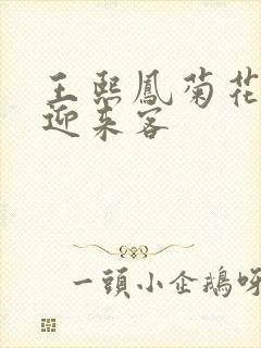 王熙凤菊花门初迎来客