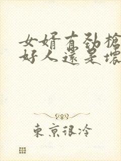 女婿有劲枪枪是好人还是坏人