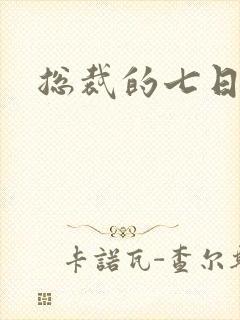 总裁的七日索情