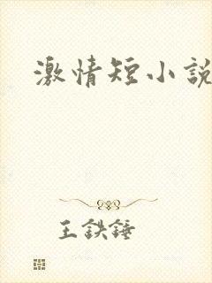 激情短小说