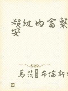 超级肉禽系统保安