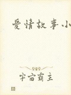 爱情故事小说