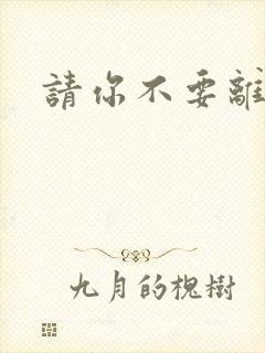 请你不要离开我