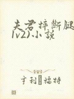 夫君摔断腿后(1v2)小说