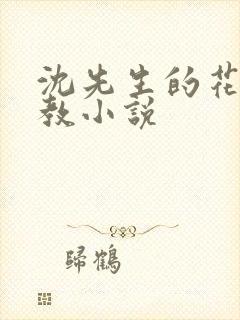 沈先生的花式调教小说