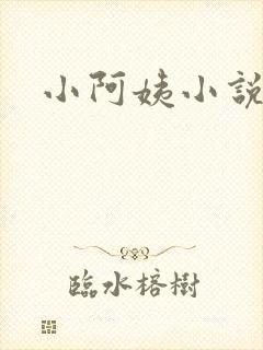 小阿姨小说