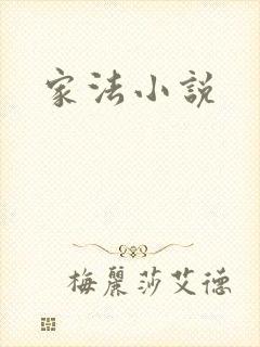 家法小说