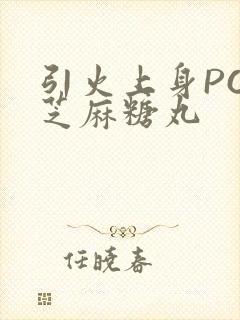 引火上身POP芝麻糖丸