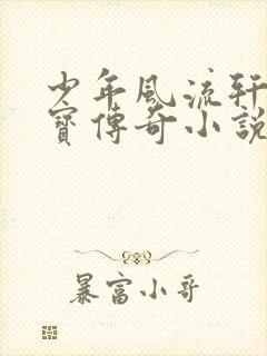 少年风流轩辕大宝传奇小说