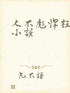 人不彪悍枉少年小说