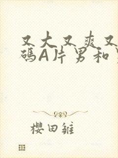 又大又爽又黄无码A片男和男