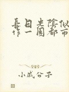 长日光阴似箭乱作一团都市言情