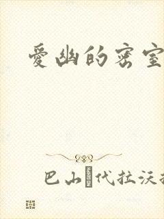 爱幽的密室小说