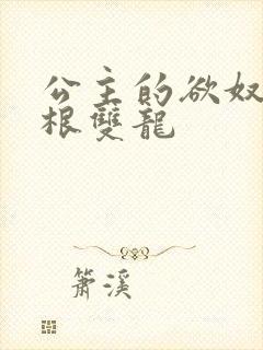 公主的欲奴h四根双龙