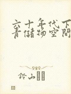 六十年代下乡知青储物空间