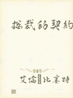 总裁的契约情人