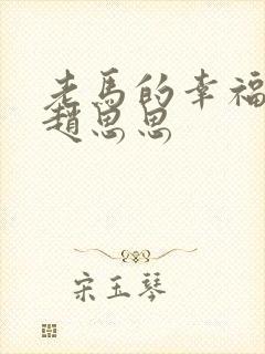 老马的幸福生活赵思思