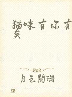 猫咪有你有我足矣