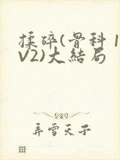 揉碎(骨科 1V2)大结局