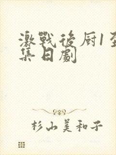 激战后厨1至5集日剧