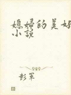 媳妇的美好时代小说