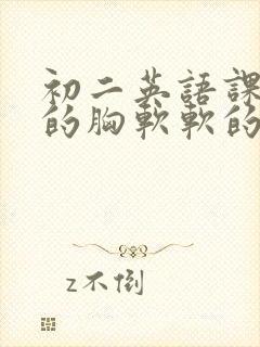 初二英语课代表的胸软软的