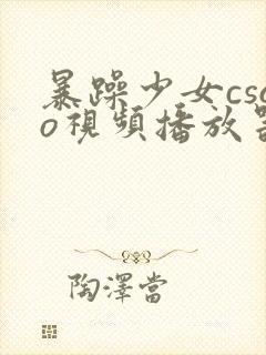 暴躁少女csgo视频播放器推荐