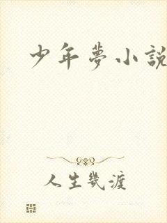 少年梦小说