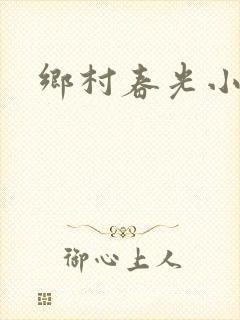 乡村春光小说