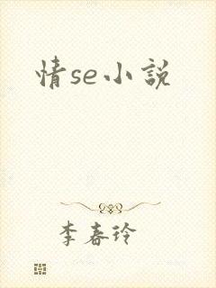 情se小说