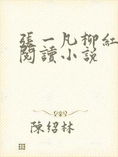 张一凡柳红免费阅读小说
