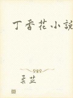 丁香花小说
