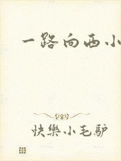 一路向西小说