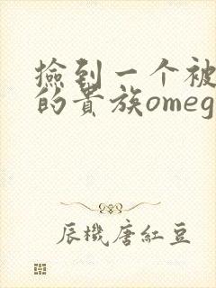 捡到一个被抹布的贵族omega