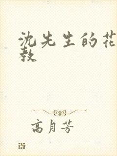 沈先生的花式调教