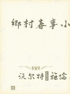 乡村春事小说