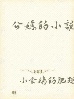 公媳的小说