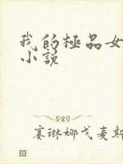 我的极品女老师小说