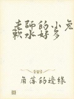 老师的小兔子好软水好多