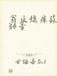 翁止熄痒苏钥第34章