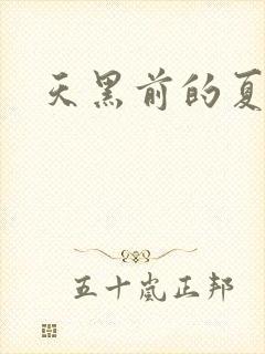 天黑前的夏天