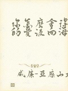 你怎么舍得让我的爱流向海
