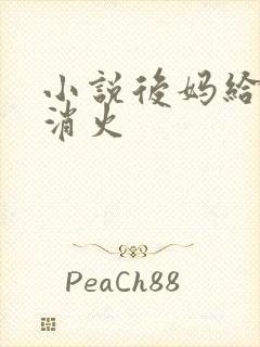 小说后妈给我消消火