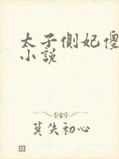 太子侧妃傻乎乎小说