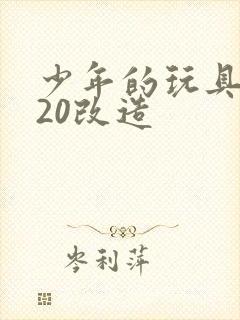 少年的玩具1一20改造