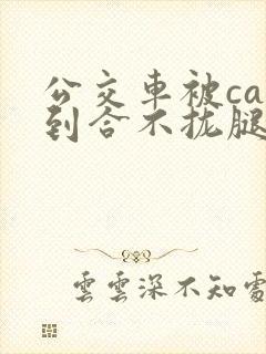 公交车被cao到合不拢腿视频