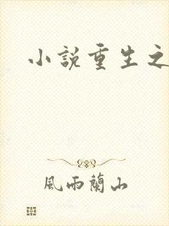 小说重生之官道