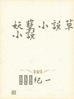 妖孽小说草莓酱小说