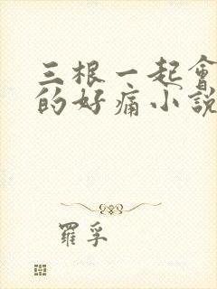 三根一起会坏掉的好痛小说