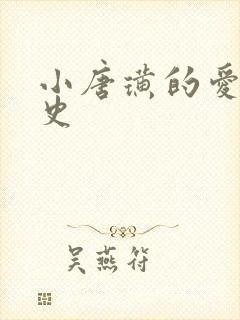 小唐璜的爱情历史